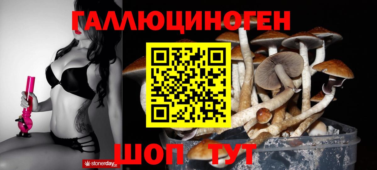 Псилоцибиновые грибы прущие грибы Аргун