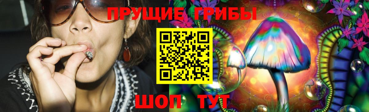 Псилоцибиновые грибы Cubensis  Псилоцибиновые грибы ЛСД  Вход с VPN  Аргун 
