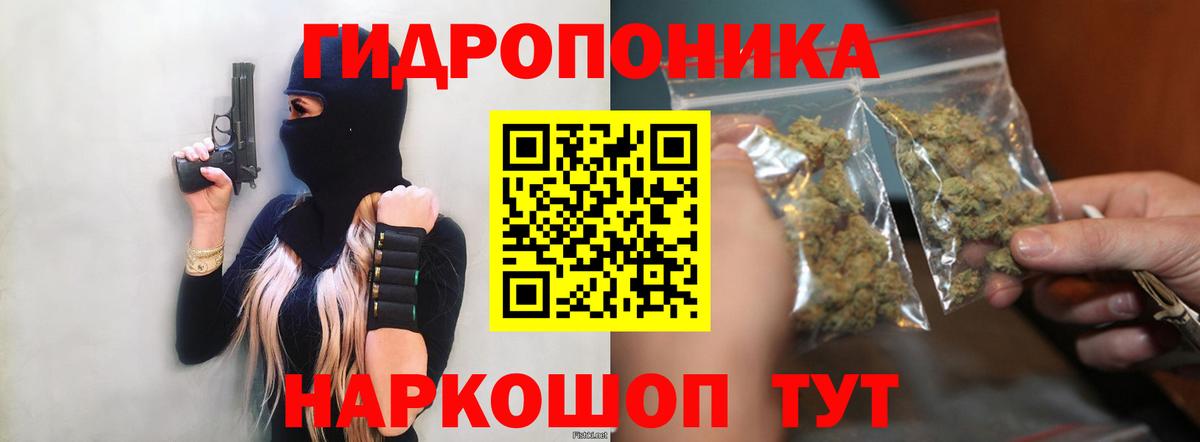Бошки марихуана сатива Аргун